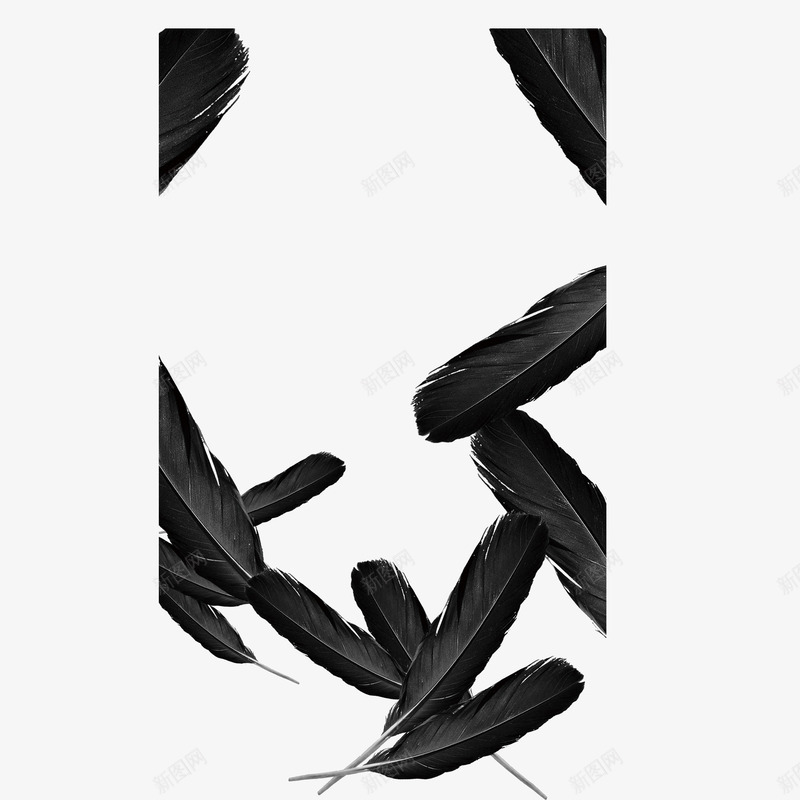 黑色羽毛装饰图案png免抠素材_新图网 https://ixintu.com 图案 羽毛 装饰 设计 黑色