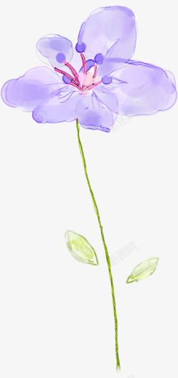 手绘紫色淡彩花卉封面素材