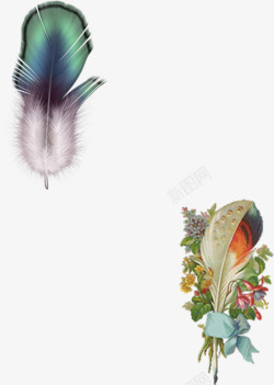 漂浮彩色各式鸟和鸟笼孔雀羽毛高清图片