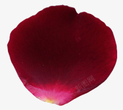 深红色玫瑰花瓣素材
