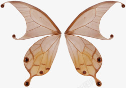 蝴蝶翅膀装饰素材