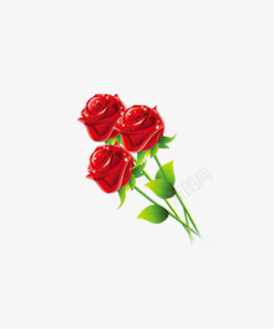 三朵玫瑰唯美精致三朵玫瑰花高清图片