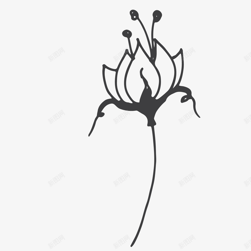 可爱小清新装饰海报装饰黑白植物png免抠素材_新图网 https://ixintu.com PPT模板设计 卡通装饰 封面设计 小清新插画 广告设计 文艺风装饰图案 海报设计 花朵