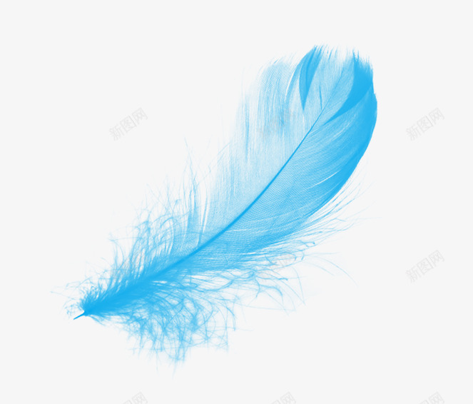 蓝色羽毛png免抠素材_新图网 https://ixintu.com 漂亮的羽毛 羽毛 蓝色的羽毛