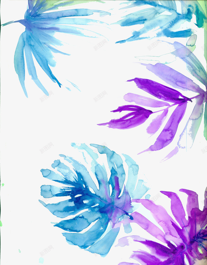 紫色的树叶psd免抠素材_新图网 https://ixintu.com 叶子 植物 紫色 羽毛状