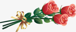 三只玫瑰花手绘玫瑰花素材