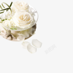 白玫瑰花瓣素材