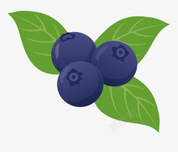 蓝莓广告手绘卡通蓝色蓝莓高清图片