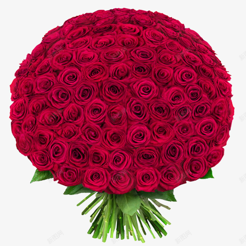 一大束红色的玫瑰png免抠素材_新图网 https://ixintu.com 一束玫瑰花 植物 玫瑰 玫瑰花 红玫瑰 绿植 花朵