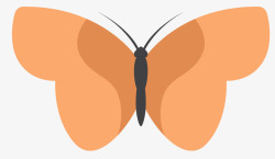 对称风格对称蝴蝶纯色标本高清图片