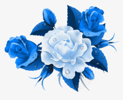 蓝色滴水玫瑰装饰素材