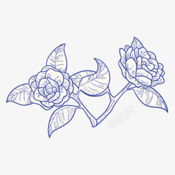 素描蓝色玫瑰花矢量图素材