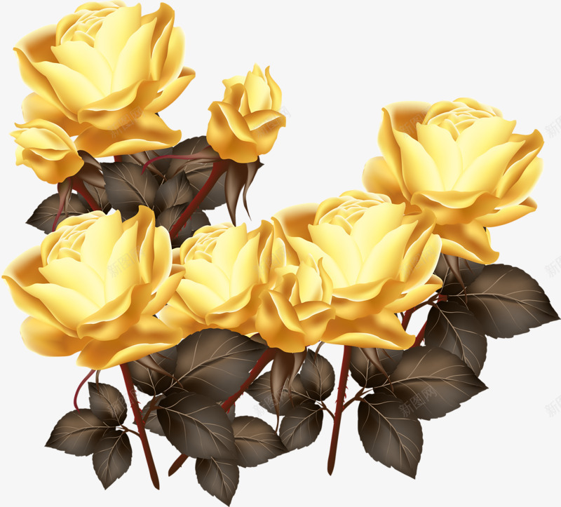 金色玫瑰png免抠素材_新图网 https://ixintu.com 植物 玫瑰 金色 镀金 鲜花