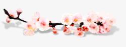 中国风粉红色梅花花枝高清图片