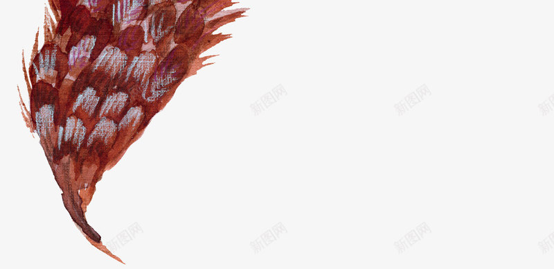 橘色羽毛树叶png免抠素材_新图网 https://ixintu.com 创意树叶 彩绘羽毛 树叶 植物 羽毛纹理