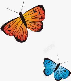 后效应两只美丽的蝴蝶高清图片