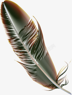 手绘修饰手绘精美工艺彩色羽毛矢量图高清图片