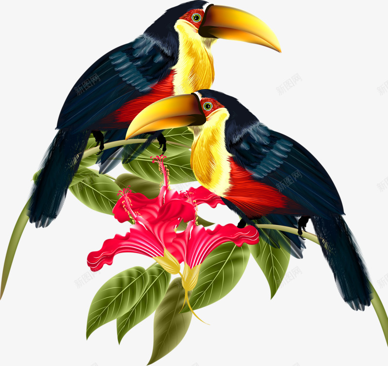 树枝上的两只小鸟png免抠素材_新图网 https://ixintu.com 卡通 绿叶 羽毛 黑色