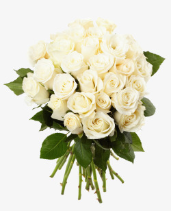 一束白色玫瑰花素材