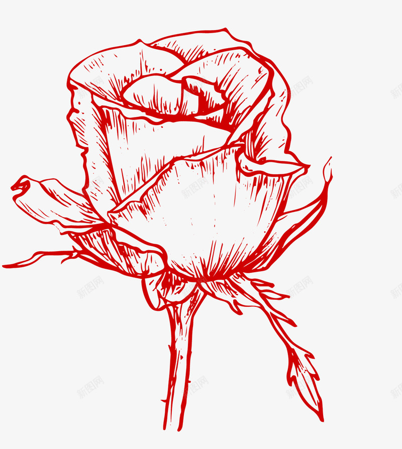 素描玫瑰花png免抠素材_新图网 https://ixintu.com 卡通 手绘 玫瑰纹身 玫瑰花 素描 红色