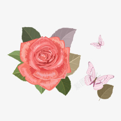 手绘红色玫瑰花和蝴蝶素材