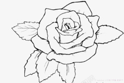 纹身贴描边玫瑰高清图片