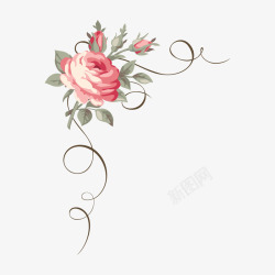 玫瑰花底手绘玫瑰花底装饰图案高清图片