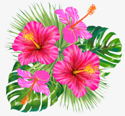 植物背景花朵树子手绘粉色花卉绿叶花草高清图片