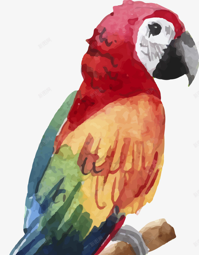 一只鹦鹉png免抠素材_新图网 https://ixintu.com 卡通 嘴巴 尾巴 手绘 简图 红色的 羽毛 蓝色的