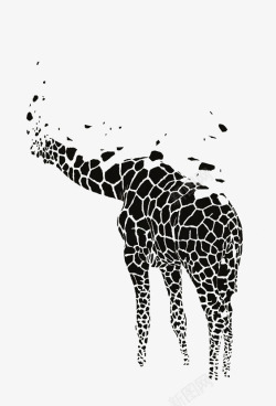 长颈鹿黑白黑白长颈鹿高清图片