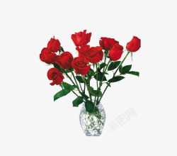 一束红玫瑰一束红玫瑰高清图片