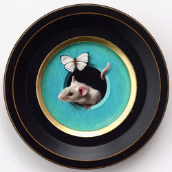 黑色裂洞盘子里的老鼠高清图片