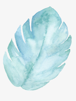 青色叶子手绘青色羽毛叶子高清图片
