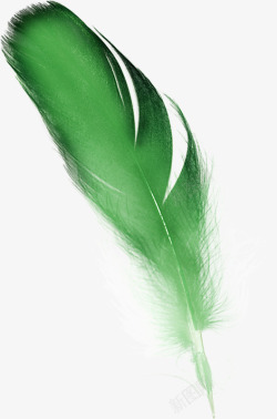 绿色羽毛素材