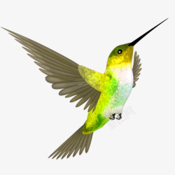 绿色展翅飞翔的小鸟素材