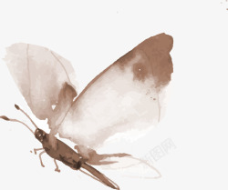 矢量褐色昆虫褐色中国风蝴蝶高清图片