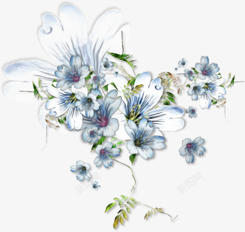白色玫瑰png免抠素材_新图网 https://ixintu.com 植物 玫瑰 白色玫瑰 花朵 花朵png免费下载 鲜艳花朵 鲜花