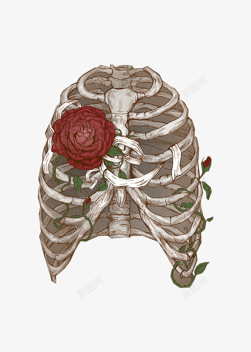 骨架png免抠素材_新图网 https://ixintu.com 手绘 玫瑰花 骨架 骷髅