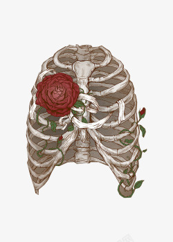 玫瑰和骷髅骨架高清图片