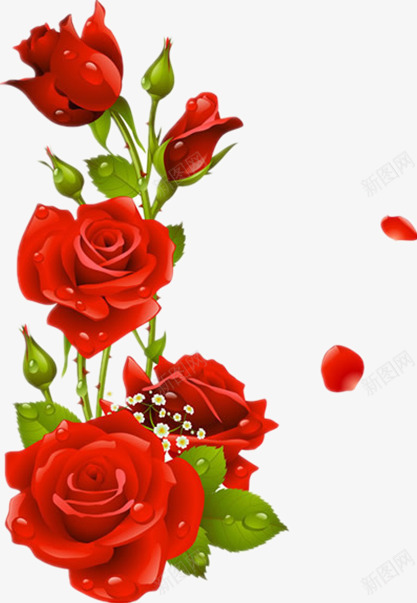 红色的玫瑰png免抠素材_新图网 https://ixintu.com 带叶子的玫瑰花 玫瑰花 盛开的玫瑰 盛开的红玫瑰 红玫瑰 红色玫瑰 绸缎红玫瑰 绸缎红玫瑰红丝带