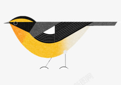 简易黑黄色黑黄色可爱手绘黄鹂鸟高清图片