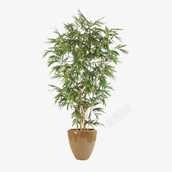 生锈瓷盆绿色植物盆栽圆形盆竹子高清图片