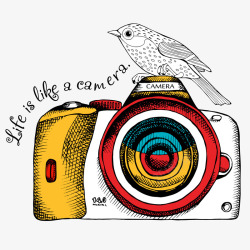 扁平化小鸟彩色手绘相机元素高清图片