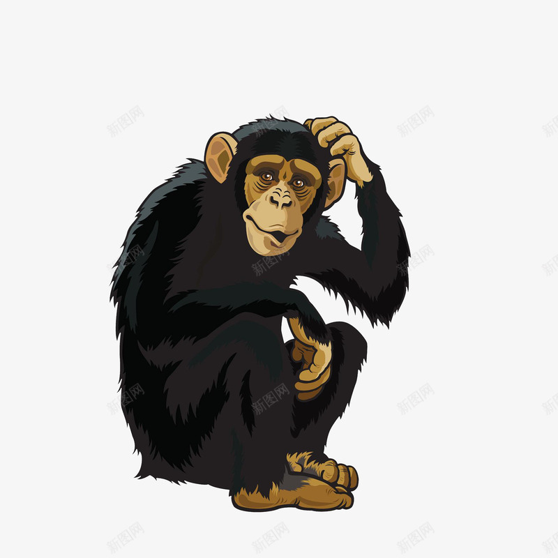 卡通抓头的黑猩猩png免抠素材_新图网 https://ixintu.com 卡通猩猩 抓东西 抓头的猩猩 挠头手势 蜷缩身体