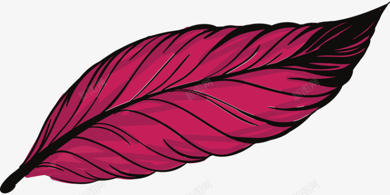 美丽孔雀羽毛图标图标