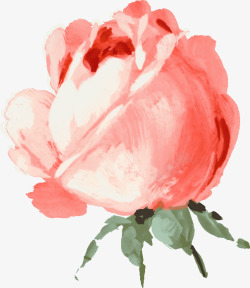 手绘水彩玫瑰花苞素材