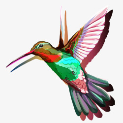 水墨插画彩色创意蜂鸟元素矢量图高清图片