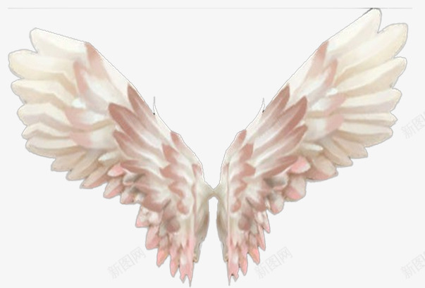 洁白的翅膀片png免抠素材_新图网 https://ixintu.com 后背翅膀 漂亮的翅膀图片 羽毛翅膀 装饰图片翅膀