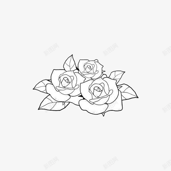 三朵白玫瑰图标png_新图网 https://ixintu.com 手绘 爱情 爱没有距离 白玫瑰 白玫瑰手绘 白色 盛开 绿色 美丽 高洁
