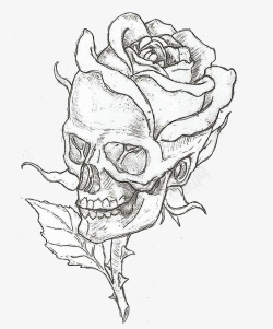 骷髅骨玫瑰花素材